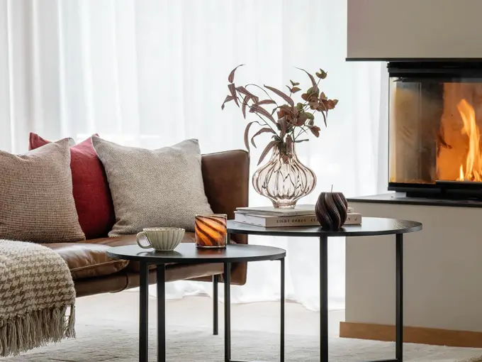 Brun skinnsofa på hvitt teppe med puter og pledd, to sorte sofabord med tekopp, telysholder, vase med blomster og bøker. Peis i bakgrunnen