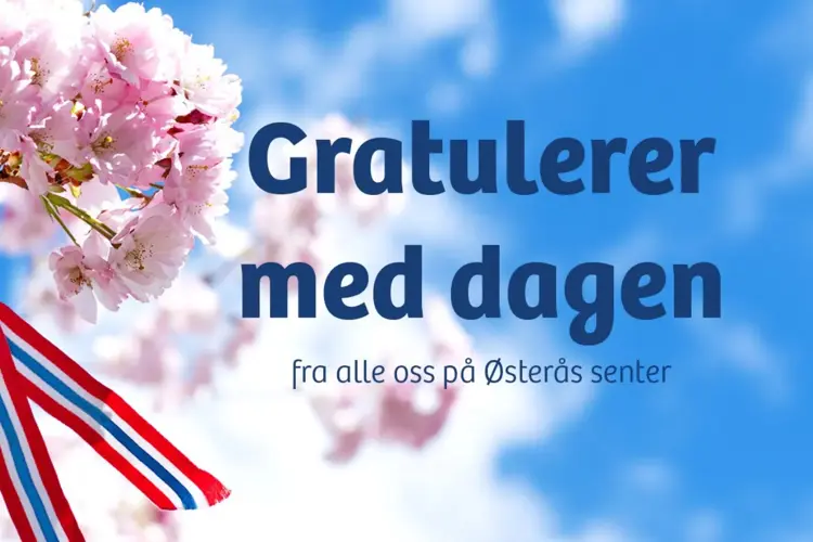 Gjør deg klar til 17. mai – våre tips til alt du trenger til den store dagen ❤️