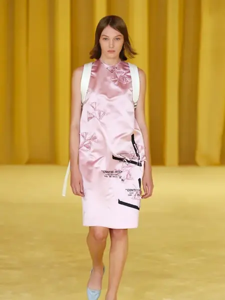 rosa prada 5803a9901203a6f1521e7ff571a7e845-5f6c961345dbc.jpeg