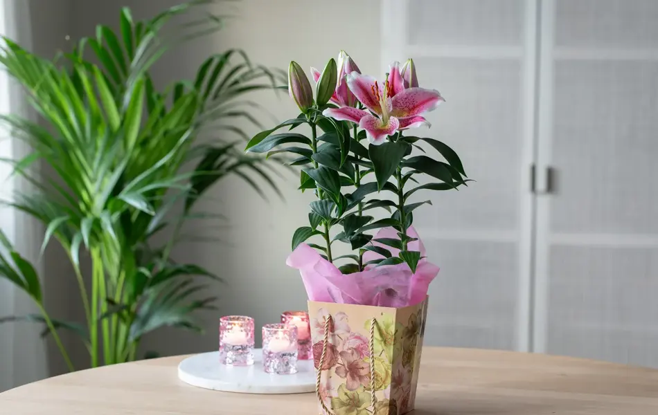 Blomster fra Mester Grønn