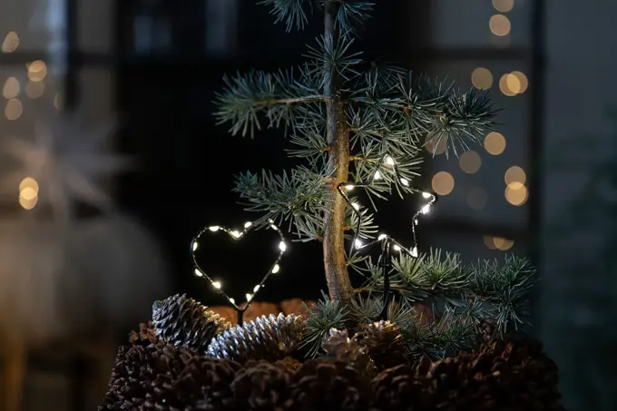 9_ Novent LED hjerte og stjerne