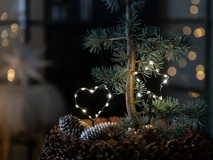 9_ Novent LED hjerte og stjerne