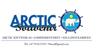 Arctic Souvenir