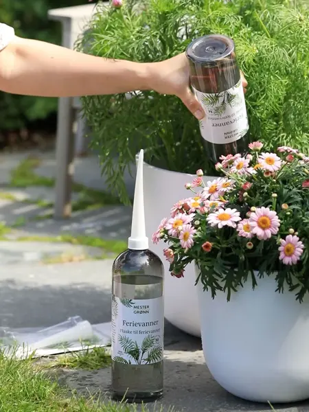 Dame som vanner potteplanter