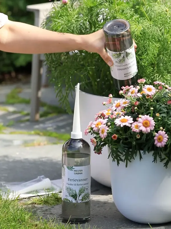 Dame som vanner potteplanter