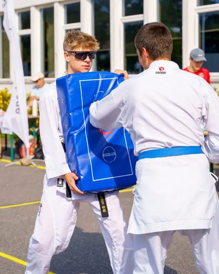 Vågsbygd-dagene amfi vågsbygd kjøpesenter årets kjøpesenter karate gratis vågsbygd