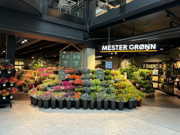 varer fra Mester Grønn