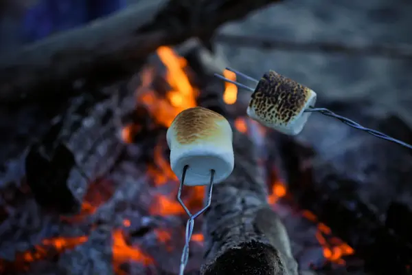 roasting marshmallows over a bonfire on the beach