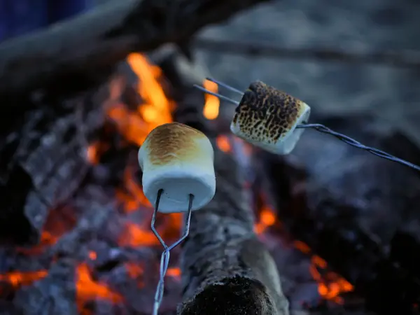 roasting marshmallows over a bonfire on the beach