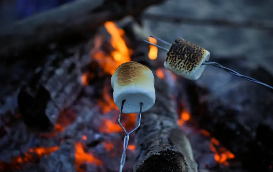 roasting marshmallows over a bonfire on the beach