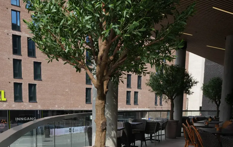 TS_Storo_artikkel_Pronto-di-olivia-apner-pa-storo