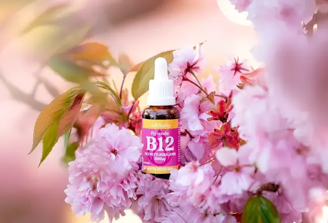 Kinsarvik_Naturkost_Februar4