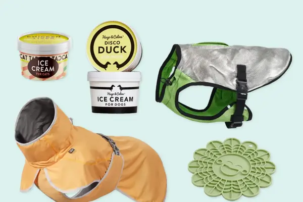 Kollasj med produkter til kjæledyr