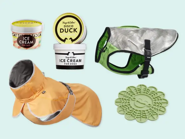 Kollasj med produkter til kjæledyr