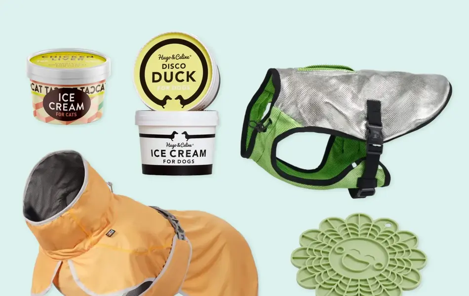 Kollasj med produkter til kjæledyr