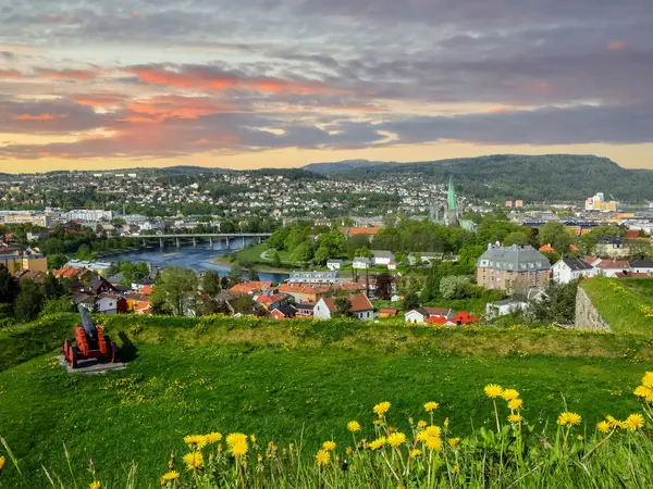 Utsikt over Trondheim fra Kristiansten festning. Midtbyen til høyre og Øya til venstre. Imidten er Nidelva, Elgseter bro og Nidarosdomen. Grønt gress, hestehov og kanon fra Kristiansten festning i forgrunnen. Rosa og grå skyer i horisonten.