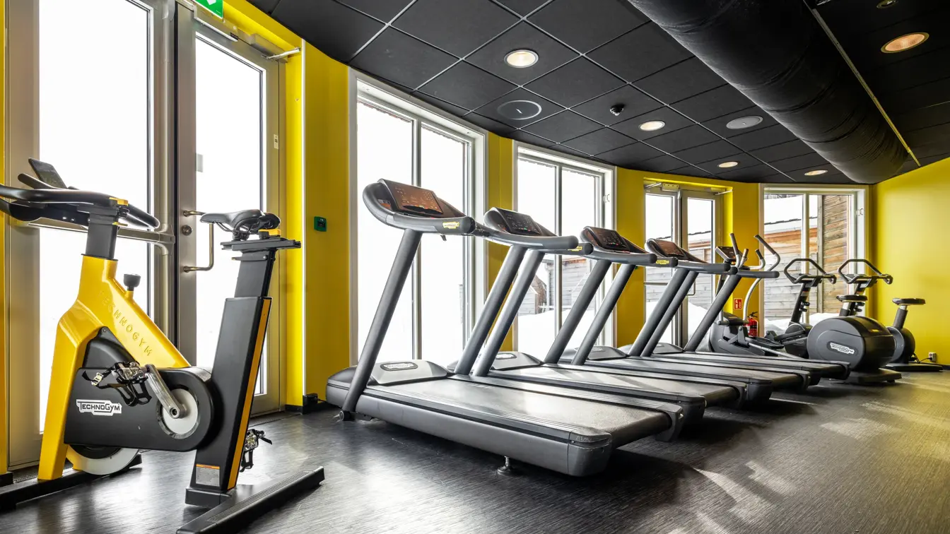 En spinning sykkel, samt flere tredemøller står på rekke foran store vinduer med utsikt.