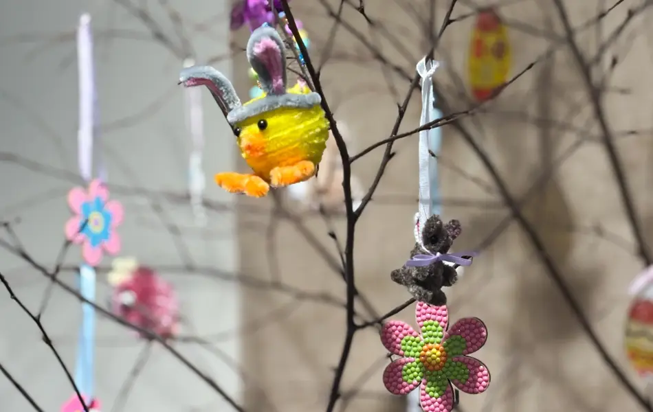 20260305_094714873_iOS