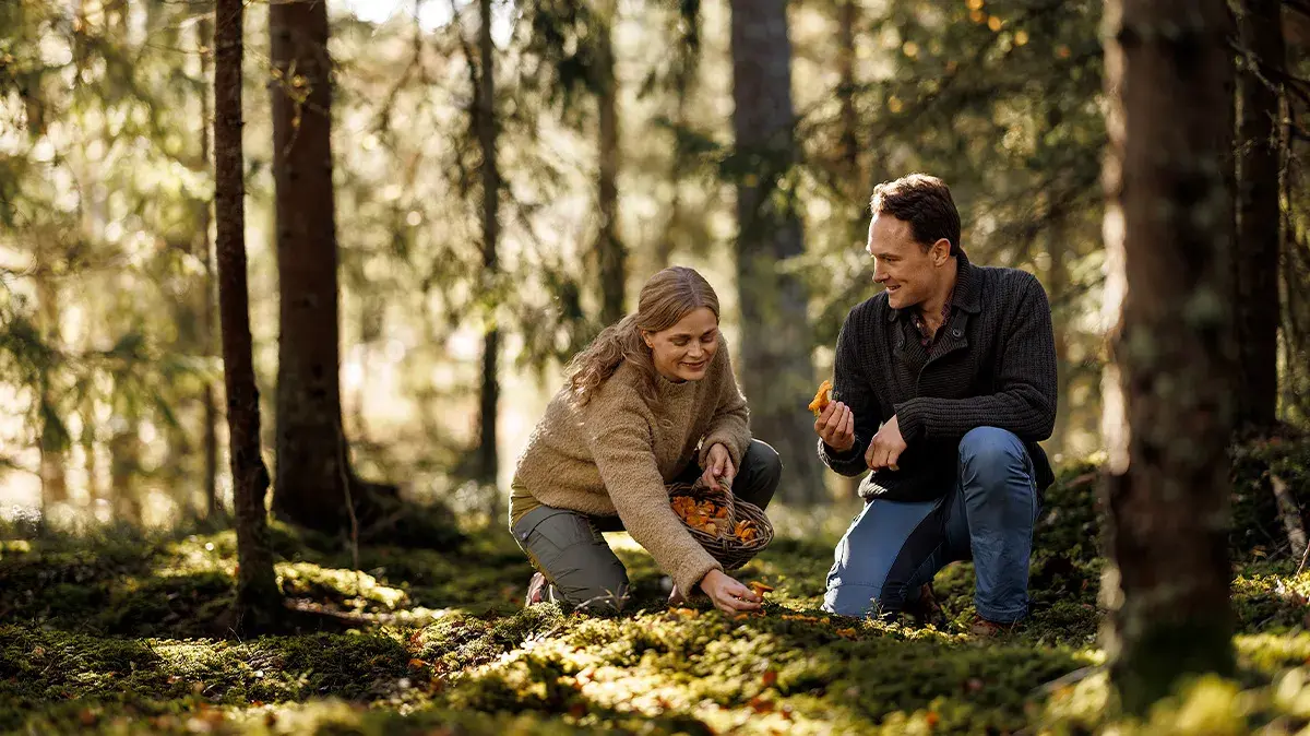 Høstbilde to personer som er i skogen og plukker sopp