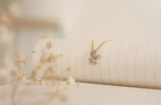 Et diamantsmykke av gull ligger over siden til en bok med en hvis blomst ved siden av.