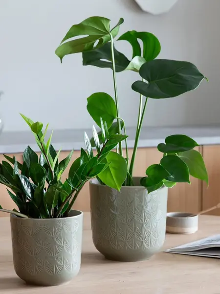 Fargerike blomster og vaser fra Mester Gronn