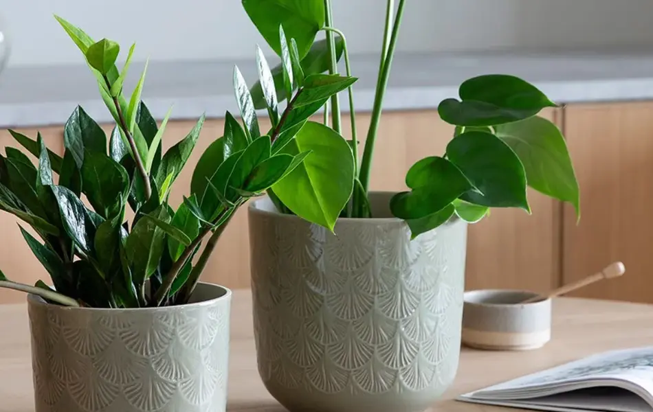 Fargerike blomster og vaser fra Mester Gronn