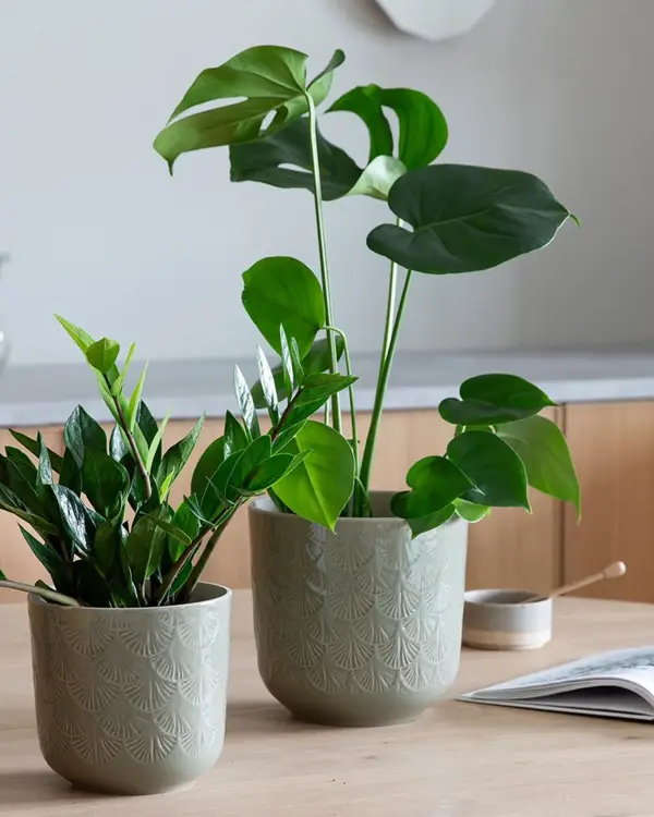 Fargerike blomster og vaser fra Mester Gronn