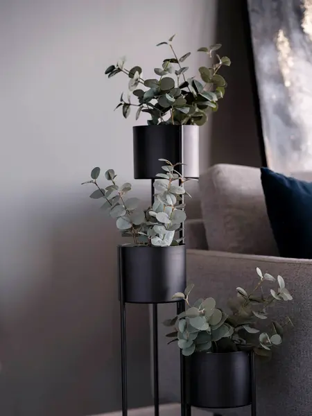 Grønne planter i sorte potter fra Kremmerhuset
