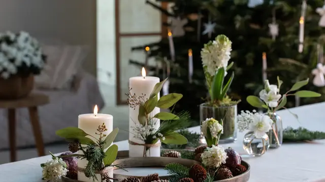 Mester Grønn advent