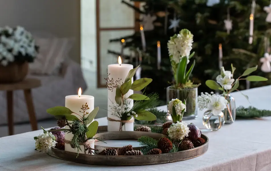 Mester Grønn advent