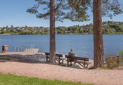 Heggedal, miljø, innsjø