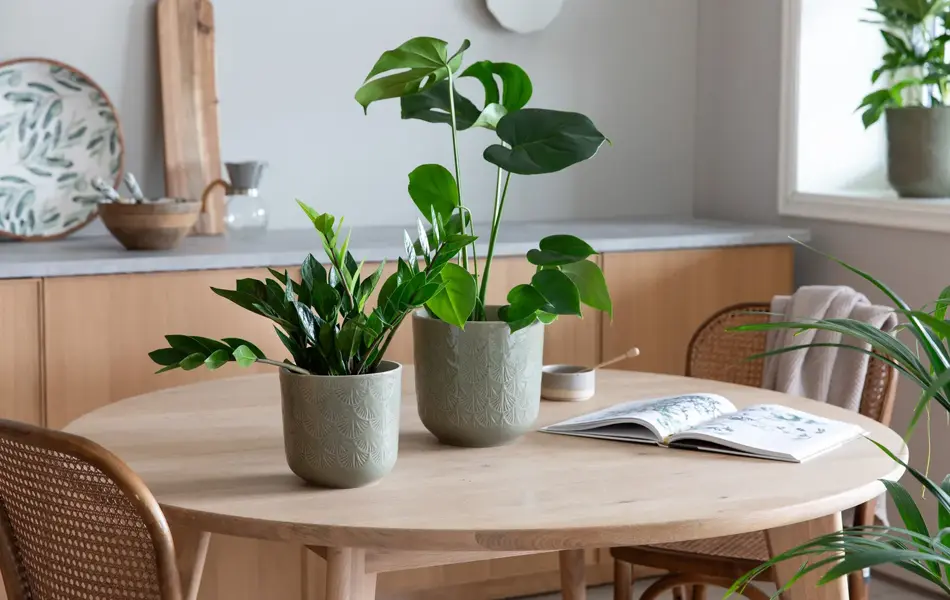 Blomster fra Mester Grønn