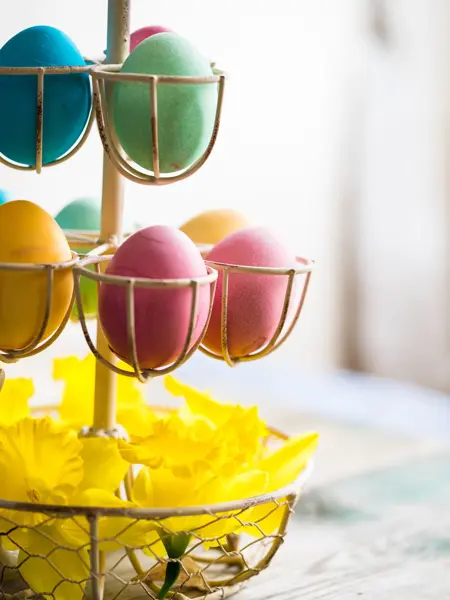 Påskeegg farget i rosa, gult, grønt og blått brukt som dekorasjon