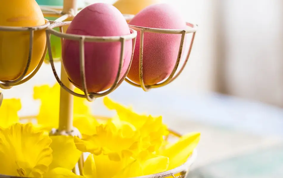 Påskeegg farget i rosa, gult, grønt og blått brukt som dekorasjon