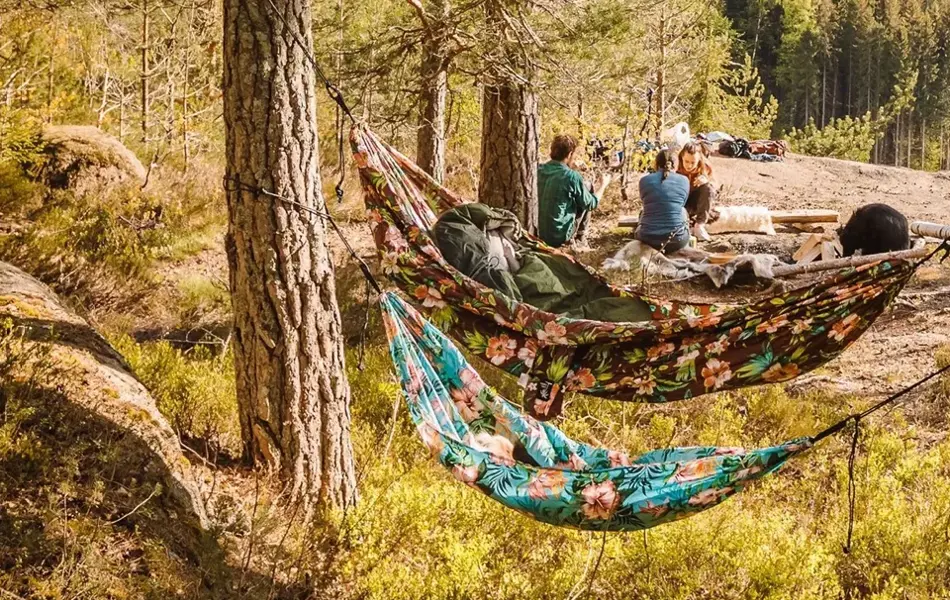 Gøye med hengekøye