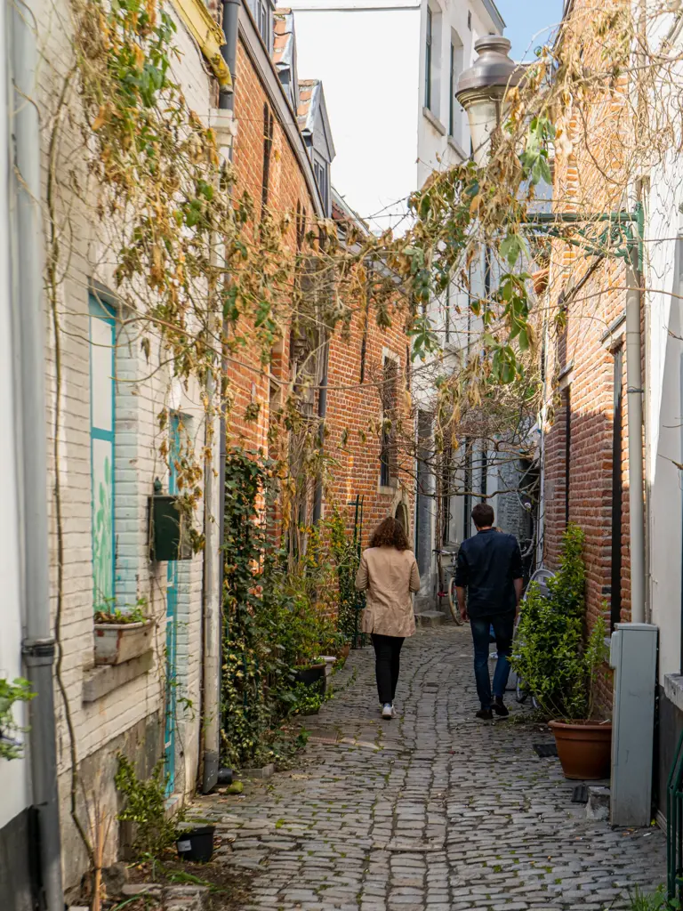 Brussels - culture - city centre