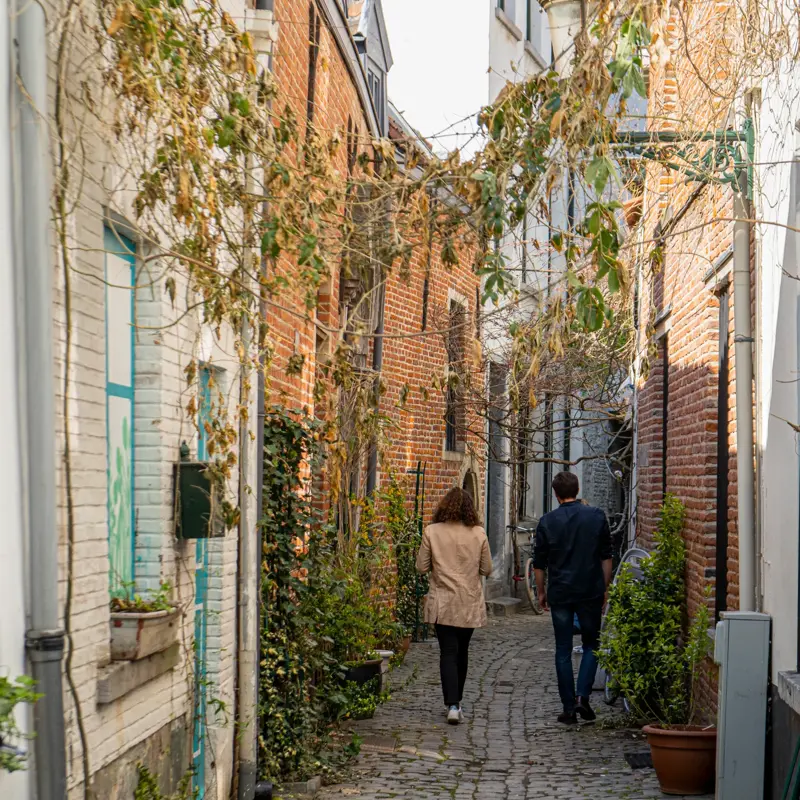 Brussels - culture - city centre