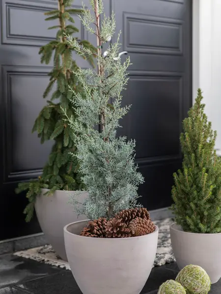 Inngangsparti med vintergrønt