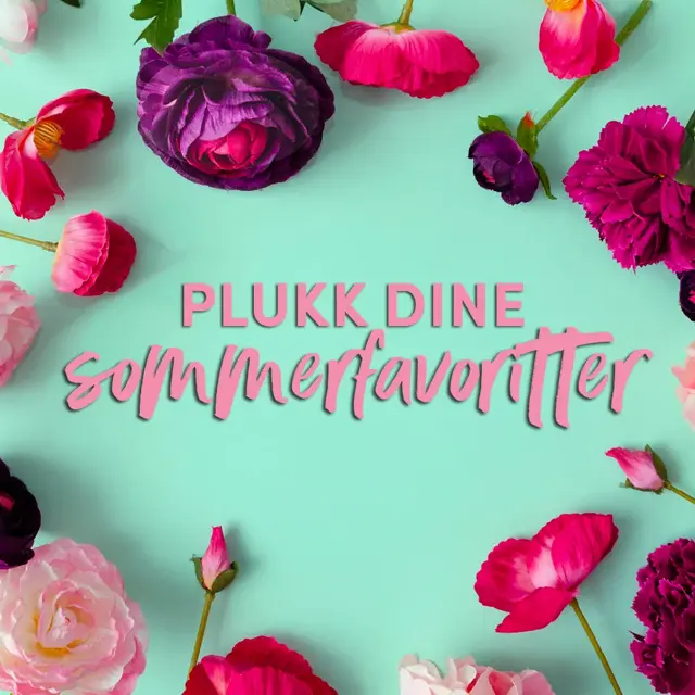 Arrangementsbilde Sommerfavoritter