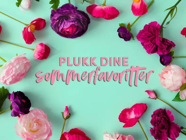 Arrangementsbilde Sommerfavoritter