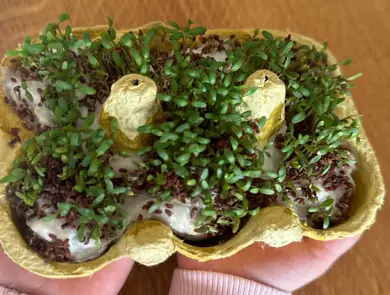 TS_Storo_aktivitet_karseverksted