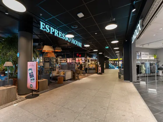 1.etg MoldeTorget