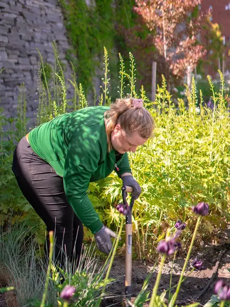 blomster i hagen på Ski Storsenter