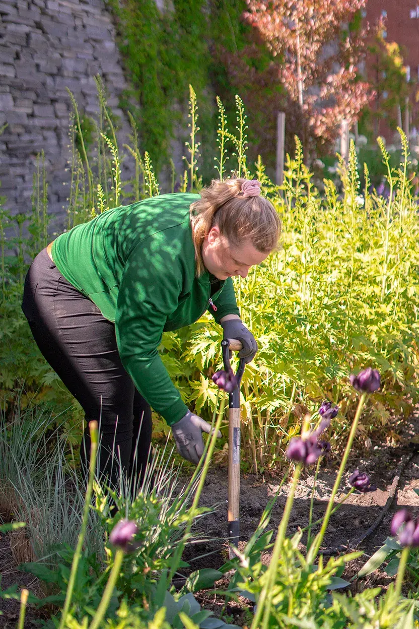 blomster i hagen på Ski Storsenter