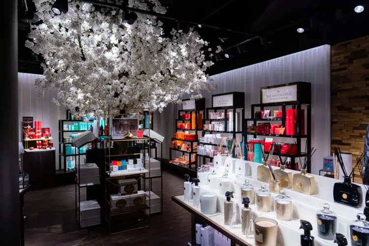 innsiden av butikken med et  hvitt stort tre i midten av rommet med velvære produkter rundt