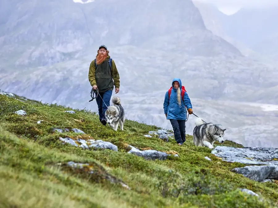 Par går tur i fjell med hunder 