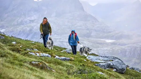 Par går tur i fjell med hunder 
