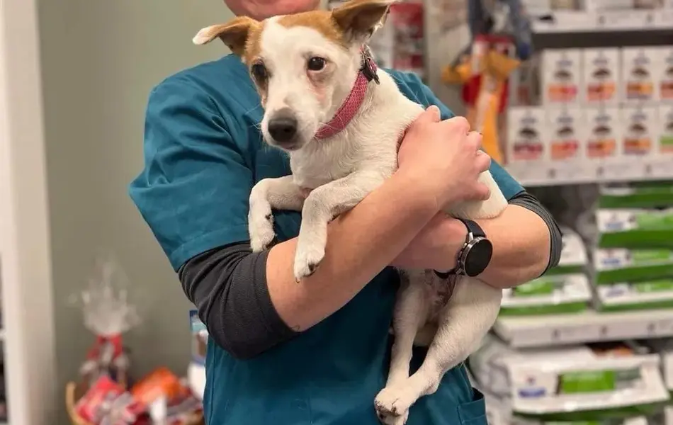 veterinær i butikk.jpg