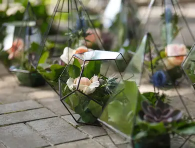 Grønne planter og blomster i gjennomsiktige glassvaser