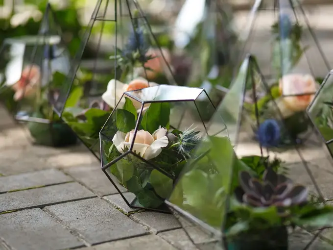 Grønne planter og blomster i gjennomsiktige glassvaser